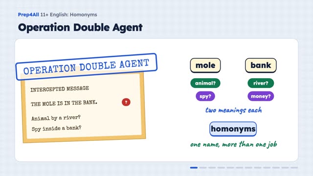 Homonyms: Same Word, Different Story: opening of the video lesson